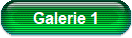 Galerie 1