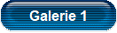 Galerie 1